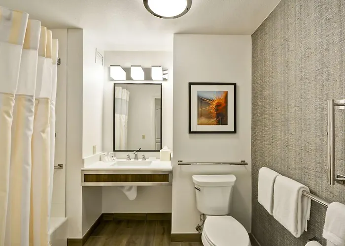 Hilton Garden Austin Hotel