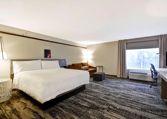 Hilton Garden Austin 3* Round Rock