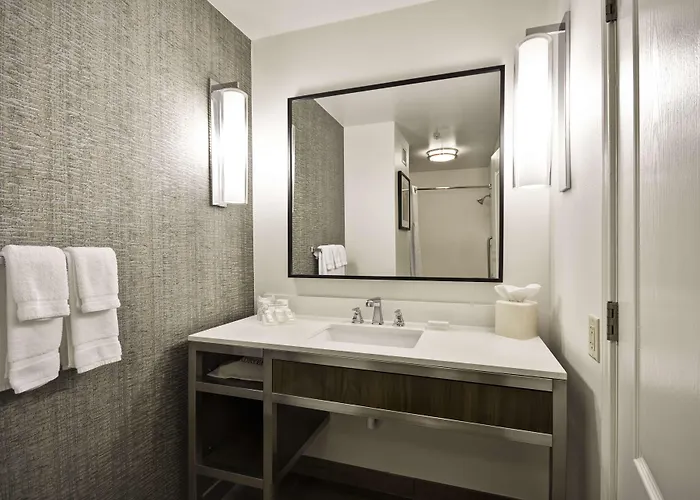 Hilton Garden Austin Hotel