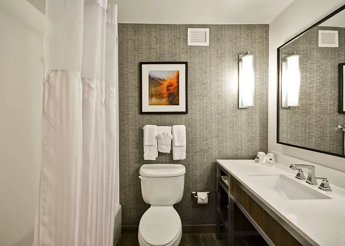 Hilton Garden Austin Hotel Round Rock