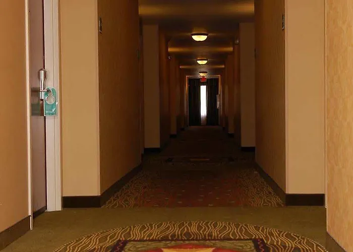 Hilton Garden Austin Hotel
