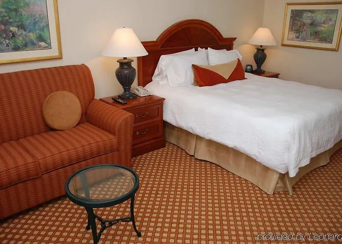 Hilton Garden Austin Hotel