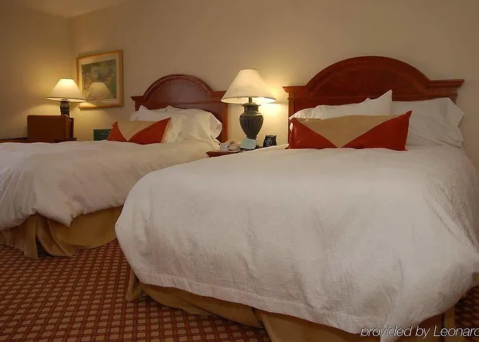 Hilton Garden Austin Hotel 3*